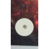 Image 2 : Authentic Space Meteorite From The Campo Del Cielo Meteor Shower In Argentina C. 2200 BC