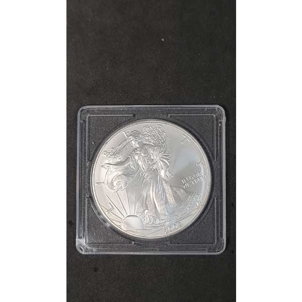 2002 1 Oz .999 Fine Silver American Eagle In Coin Holder