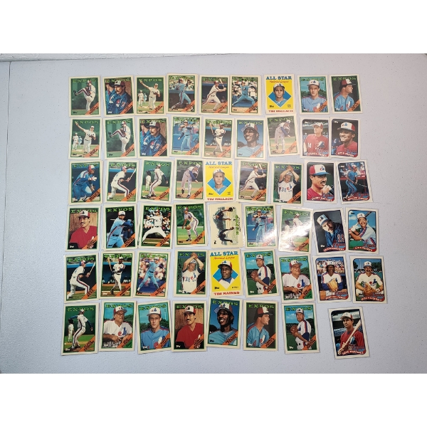 Large Lot of Near Mint 1980's Expos Topps Tiffany Baseball Trading Cards - All in Card Sleeves