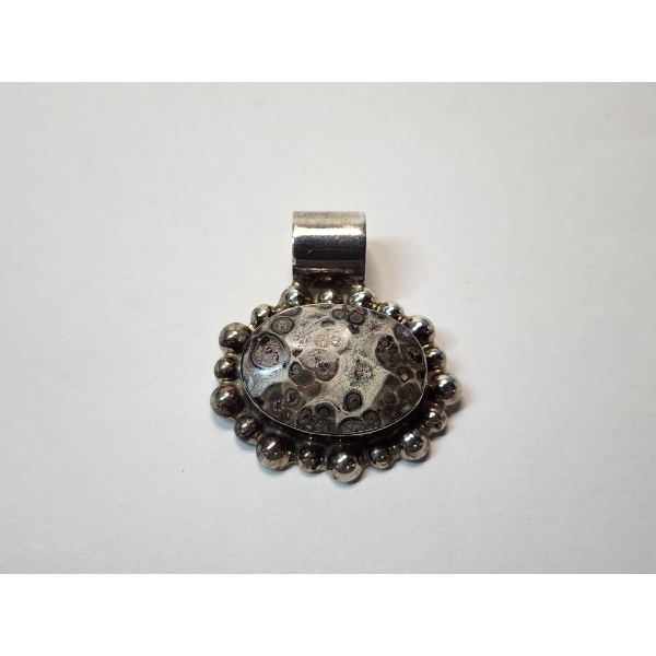 Large Sterling Silver Pendant with Large Fossil-Style Gemstone TW: 15.6g