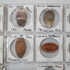 Image 8 : Two Binder Pages of Assorted Pressed Pennies From Various Landmarks
