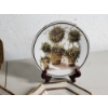 Image 3 : Lot of Decorative Plates - Including Sakura, Wong Lee, 22K Gold Rim Plate