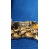 Image 5 : 14K Gold Fancy Link Bracelet - Weight: 12.2g