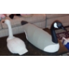 Image 2 : Pair Large Signed Duck & Goose Decoys - Bud Green (Goose) 22" Long - Duck: 16" Signed Also See Pics