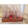 Image 1 : Vintage NEHI Bottles (23) in Wooden Royal Crown Cola 24 Slot Crate - One Bottle Full