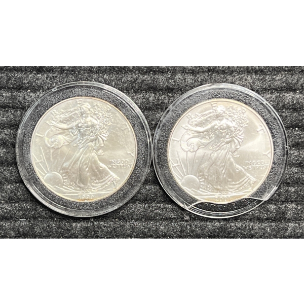 Lot of 2 American Silver Eagles.  1999 and 2001.