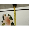 Image 2 : *Pick Up At Mantua Home-No Shipping Available*  Floral Signs - Sandra's Daylilies for Sale - 24x36" 