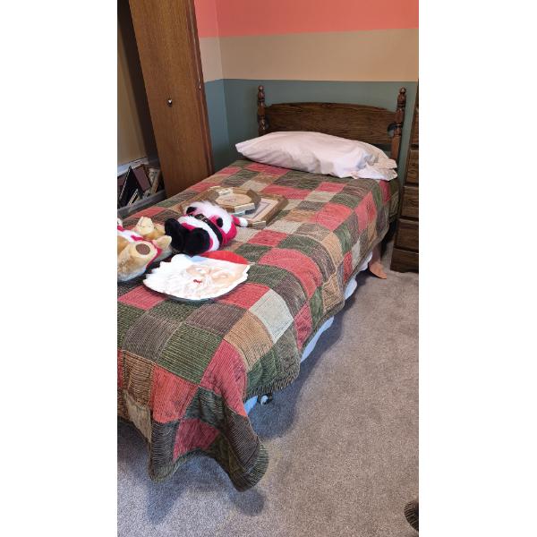 Louisville Home Pickup - Set Of 2 TWIN Size Beds As shown Including Mattress's & Bedding