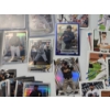 Image 9 : Large Lot of Assorted Baseball Trading Cards Including RC's, Bowman Chrome, Topps, & More! 