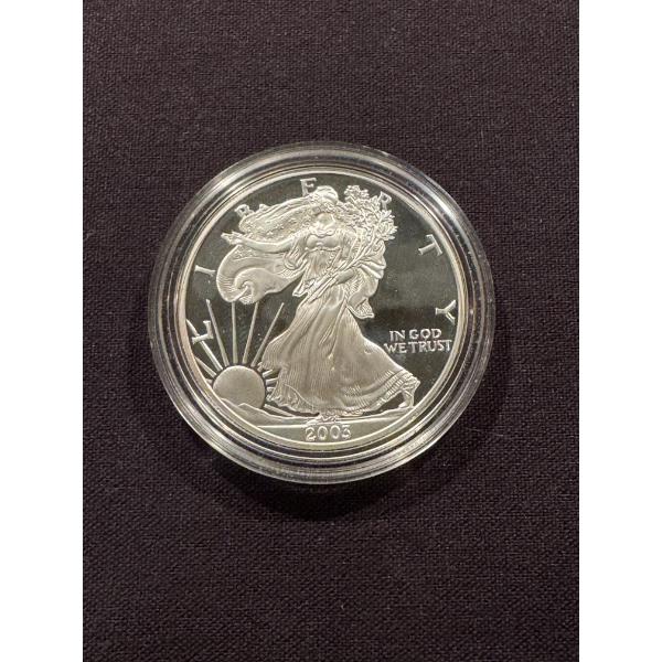 2003 United States American Eagle Silver Proof .999 Fine Pure Silver Troy Oz Coin - Mint Condition