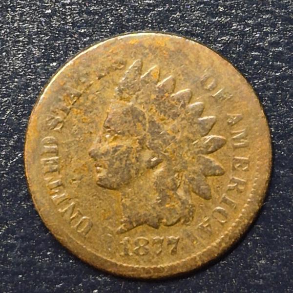 RARE RARE 1877 Indian Head Cent - Very Hard To Find See Pics