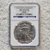 Image 1 : NGC MS69 Graded 2011 .999 Fine Silver 1oz. Eagle