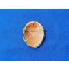 Image 3 : Vintage Shell Cameo Brooch/Pendant TW: 5.5g