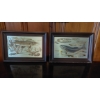 Image 1 : 2 Pc Framed Foil Fish Prints As Shown - Nice Den Collectible Decor