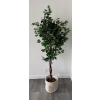 Image 1 : Artificial Tree - Good Condition !