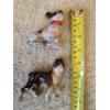 Image 2 : *Pick Up At Mantua Home-No Shipping Available* Collectable Rare Vintage Cast Iron Pups With Original
