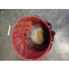 Image 2 : Good Condition Tool Bucket Caddy