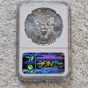 Image 2 : NGC MS69 Graded 2014 .999 Fine Silver 1oz. Eagle