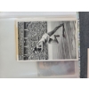 Image 3 : 1932 & 1936 Olympic Cards W/ Photos in Plastic Protectors 