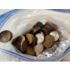 Image 9 : Large Lot of Assorted Wheat Pennies Including Better Dates and Some Unsearched TW: 1838.6g