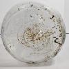 Image 3 : Vintage Owens-Illinois 6 1/2 Gallon ICC-1D Clear Glass Water Carboy Jug, 20"