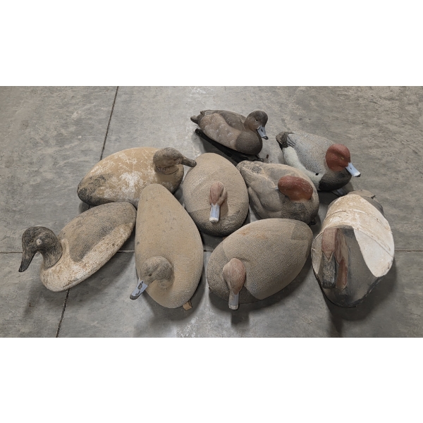Nine Life Size Floating Duck Decoys 