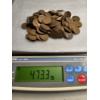 Image 1 : Lot of Assorted Wheat Pennies (473g) - AFV: $1.52 (estimated by weight)