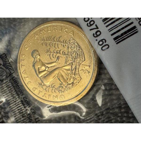 2009-P Mint State Native American Dollar - Exceptional Coin