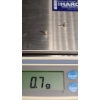 Image 3 : 14K Gold Post Pearl Earrings- Total Weight: 0.7g