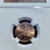 Image 2 : 2009-D SMS Bronze Lincoln Cent Formative Years NGC MS 67 RD