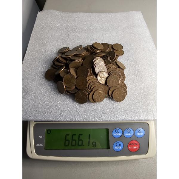 Lot of Assorted Wheat Pennies (666g) - AFV: $2.14 (estimated by weight)