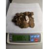 Image 1 : Lot of Assorted Wheat Pennies (666g) - AFV: $2.14 (estimated by weight)