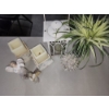 Image 3 : Lot of Home Decor Items: Lantern, Faux Plant, Candleholders, Collectible Angel Figurines