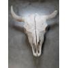 Image 1 : Real 22'' Bull Skull 