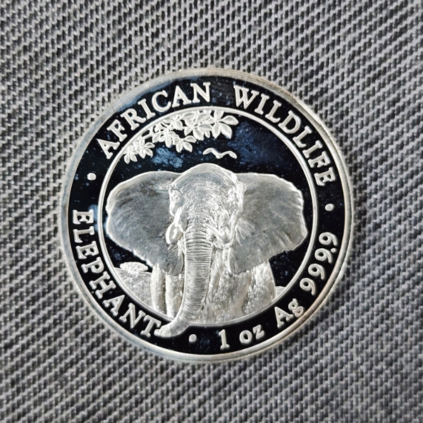 One Troy Ounce .9999 Fine Silver 2021 African Wildlife Elephant ~ 100 Schillings