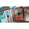 Image 6 : Assorted 1990's Magic The Gathering Cards