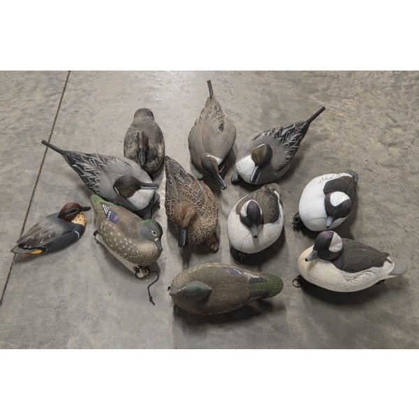 Eleven Life Size Floating Duck Decoys 