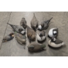 Image 1 : Eleven Life Size Floating Duck Decoys 