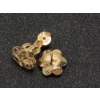 Image 4 : Three Pairs of 14K Gold Stud Earrings & Extra 14K Gold Backs - Total Weight: 2.7g