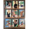 Image 11 : 1999 Topps "90210" Trading Cards - 11 Full Pages - 88 Cards & 12 Stickers Total - Complete Set