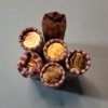 Image 2 : Six Rolls of Assorted Years United States Lincoln Cents - Face Value: $3.00