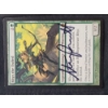 Image 5 : Large Lot of Magic The Gathering Trading Cards Including Rares, Holos & Even Autographs!