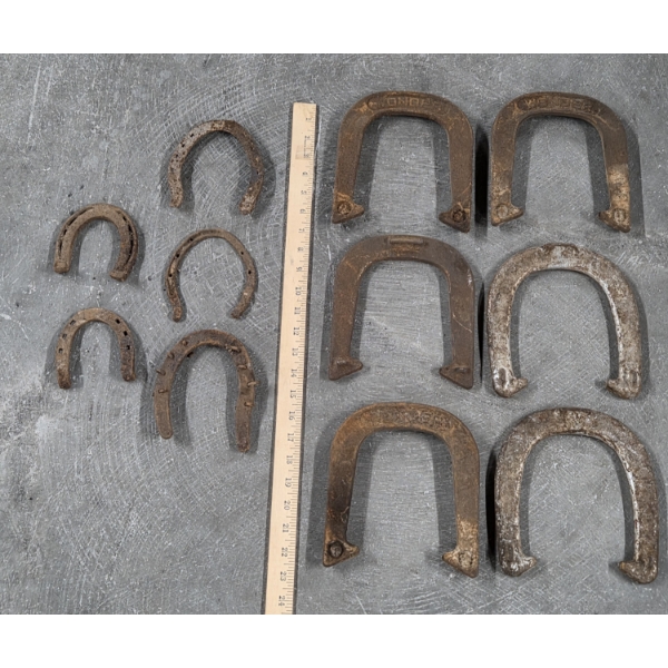 Vintage Horseshoe Collection 