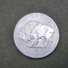 Image 2 : One Troy Ounce .999 Fine Silver Indian Buffalo Round ~ MINT UNCIRCULATED!