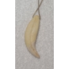 Image 2 : Interesting & Unique Bear Tooth Necklace - Believed to be Authentic Bear Tooth!