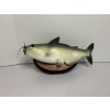 Image 2 : 2000 Gemmy Cool Catfish - Wall Hanging Singing Catfish- In Good, Working Condition! 