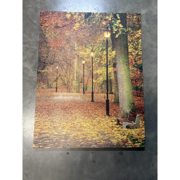 Fall Light up Canvas 27x21" - Does Work! - Signature HomeStyles 