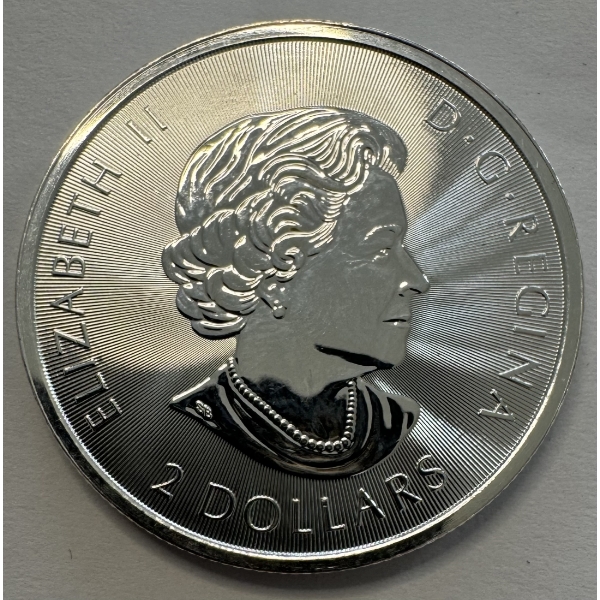 2018 1/2 oz .9999 Fine Silver Royal Canadian Mint Polar Bear Silver Coin- Limited Production!