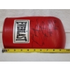 Image 7 : SHAWN PORTER Hand Signed Everlast Glove in Good Shape!