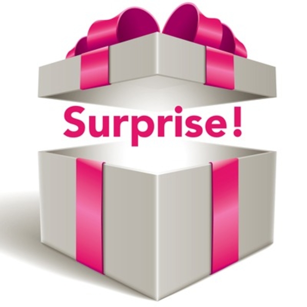 THE SURPRISE BOX - A Big Surprise In Every Box